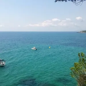 https://puravida-iii.catalonia-hotels.com